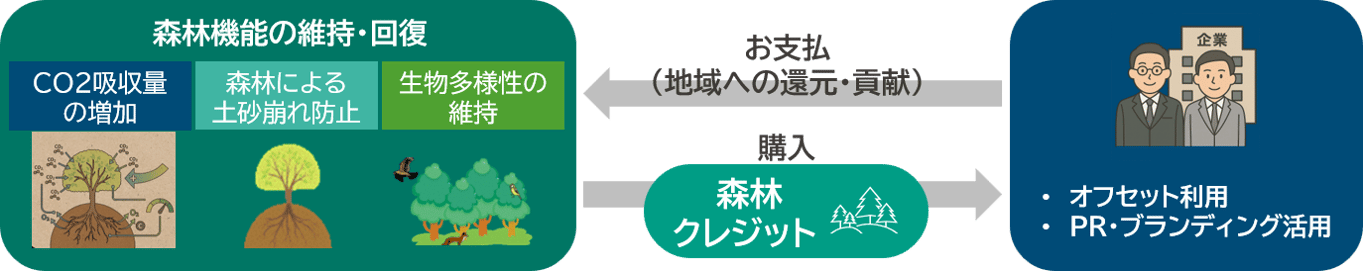 image (1)