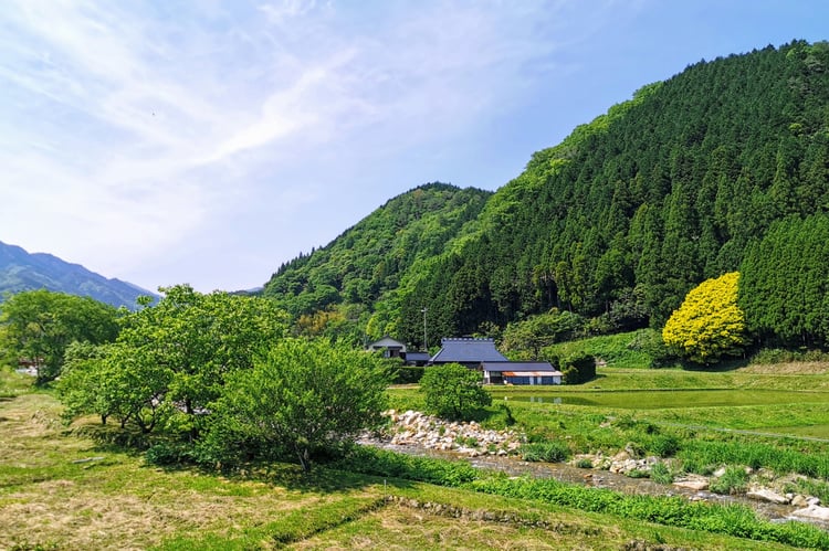 kagaminocity