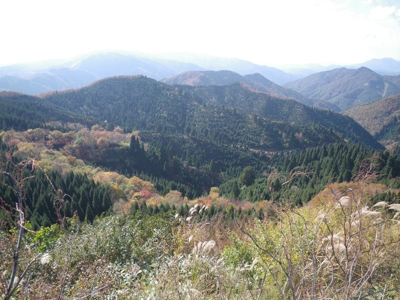 tottori