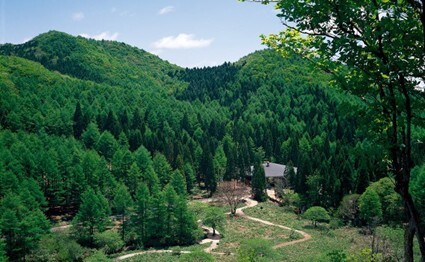 【プレスリリース】岡山県鏡野町とバイウィルの共同プロジェクト、 森林クレジット創出が正式認証。カーボンニュートラルへ前進
