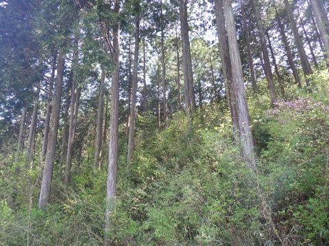 R0013191