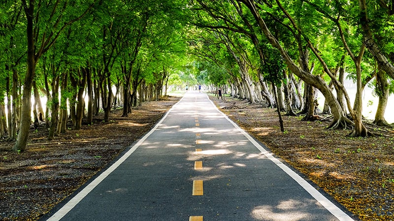 15_実行への距離