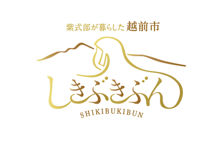 19-41_越前市