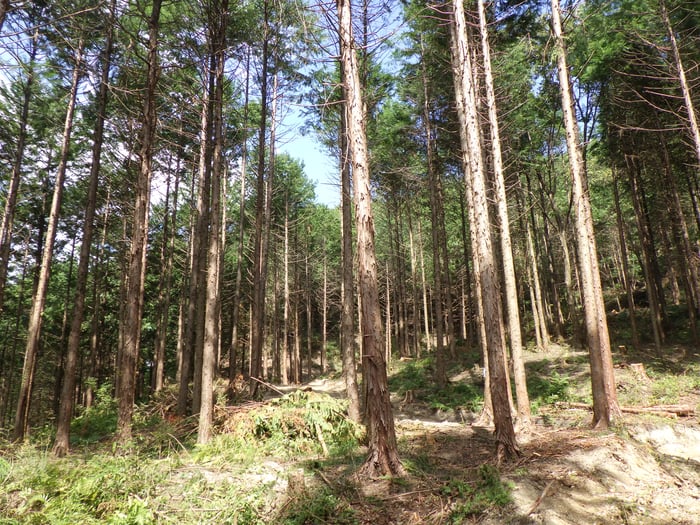 R0016331