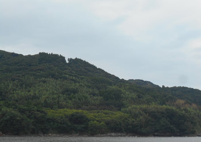 森林写真2_page-0001