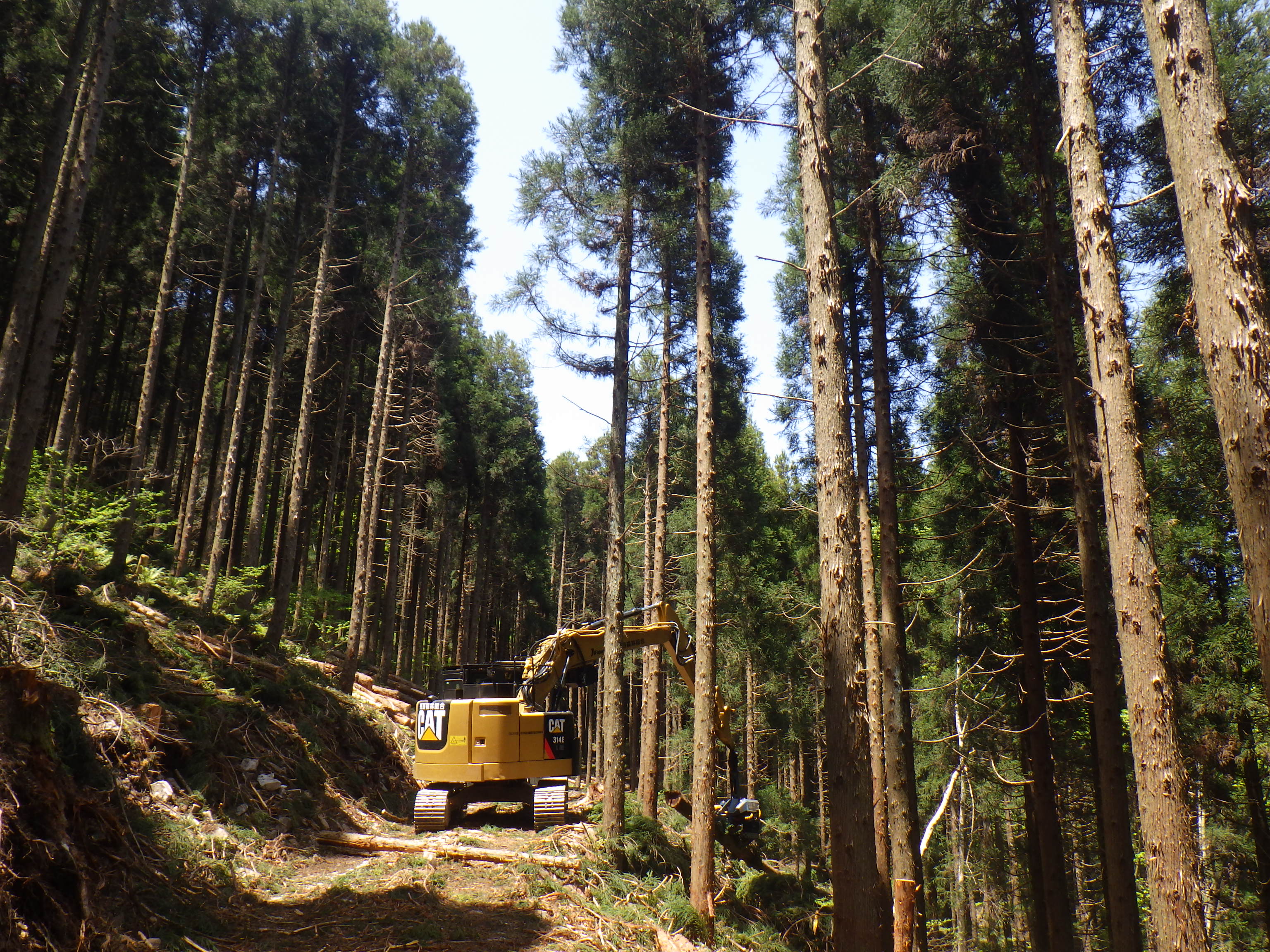 バイウィル×長野森林組合