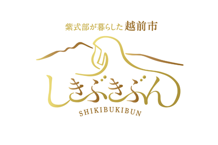 19-41_越前市
